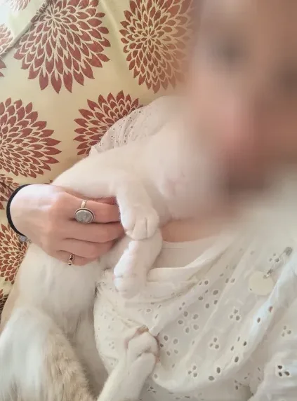 Mira, 40